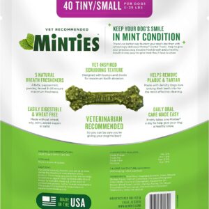 Minties Dental Chews for Dogs, Vet-Recommended Mint-Flavored Dental Treats for Tiny/Small Dogs 5-39 lbs, Dental Bones Clean Teeth, Fight Bad Breath, and Removes Plaque and Tartar, 40 Count